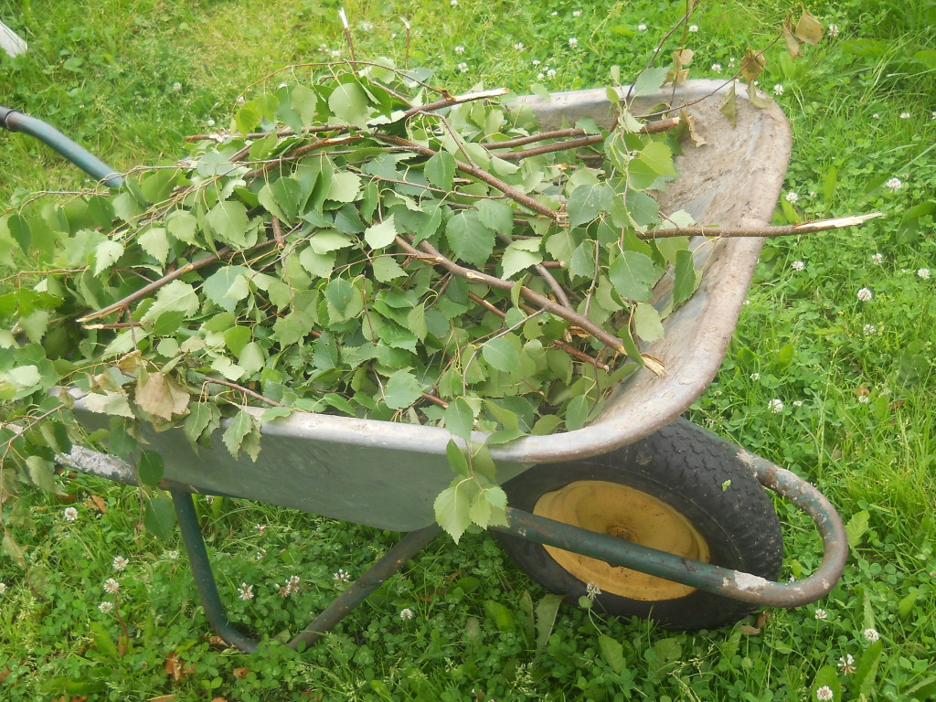 DSCN5833