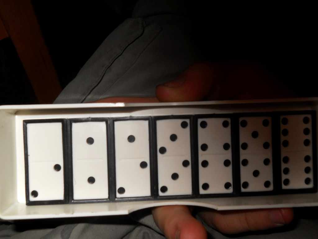 DSCN6364