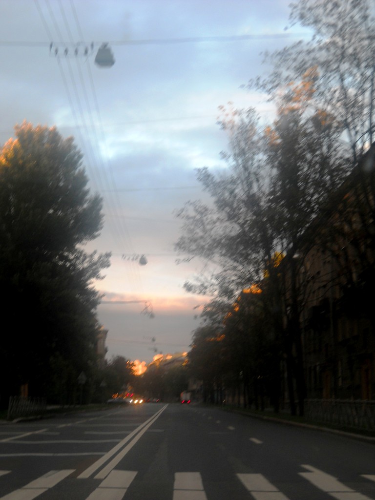DSCN8081