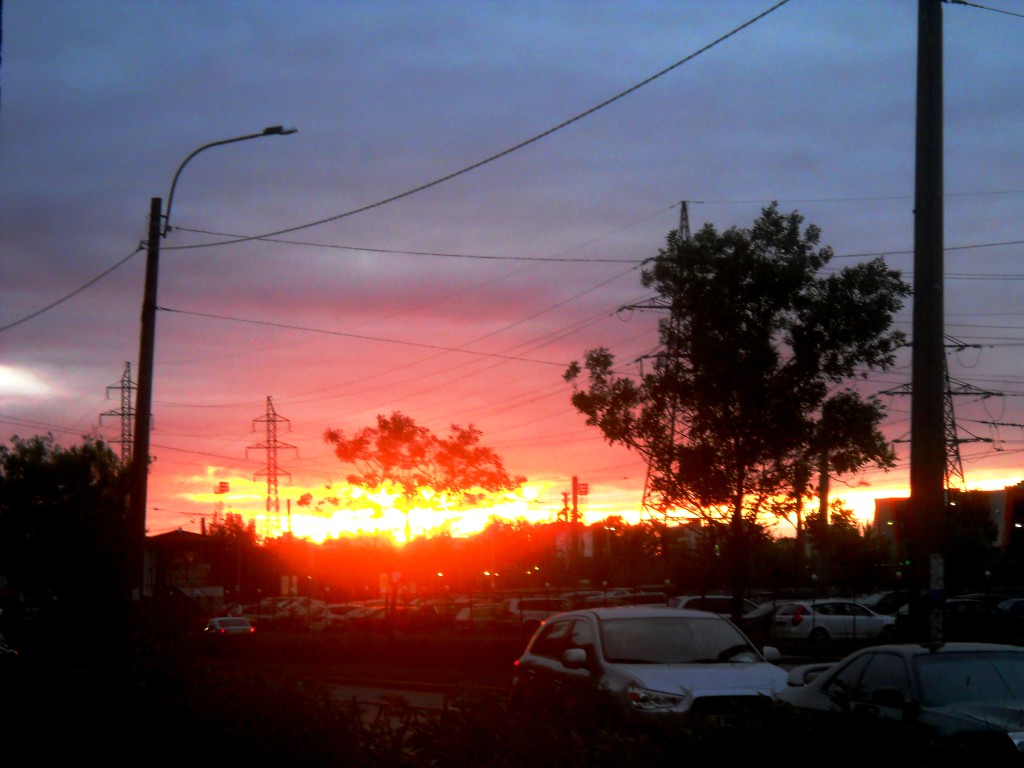 DSCN8096