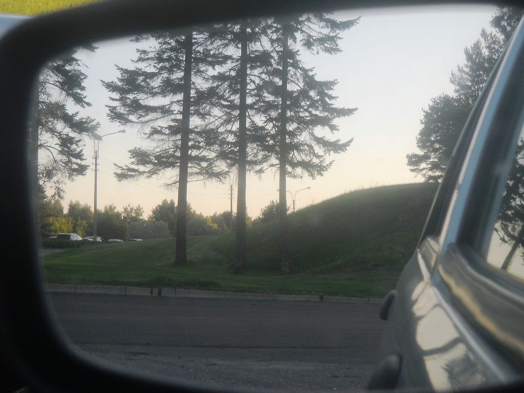 DSCN8266