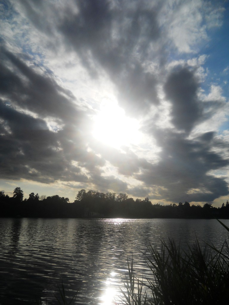 DSCN8295
