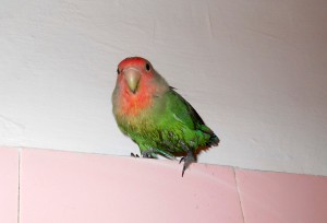DSCN8297