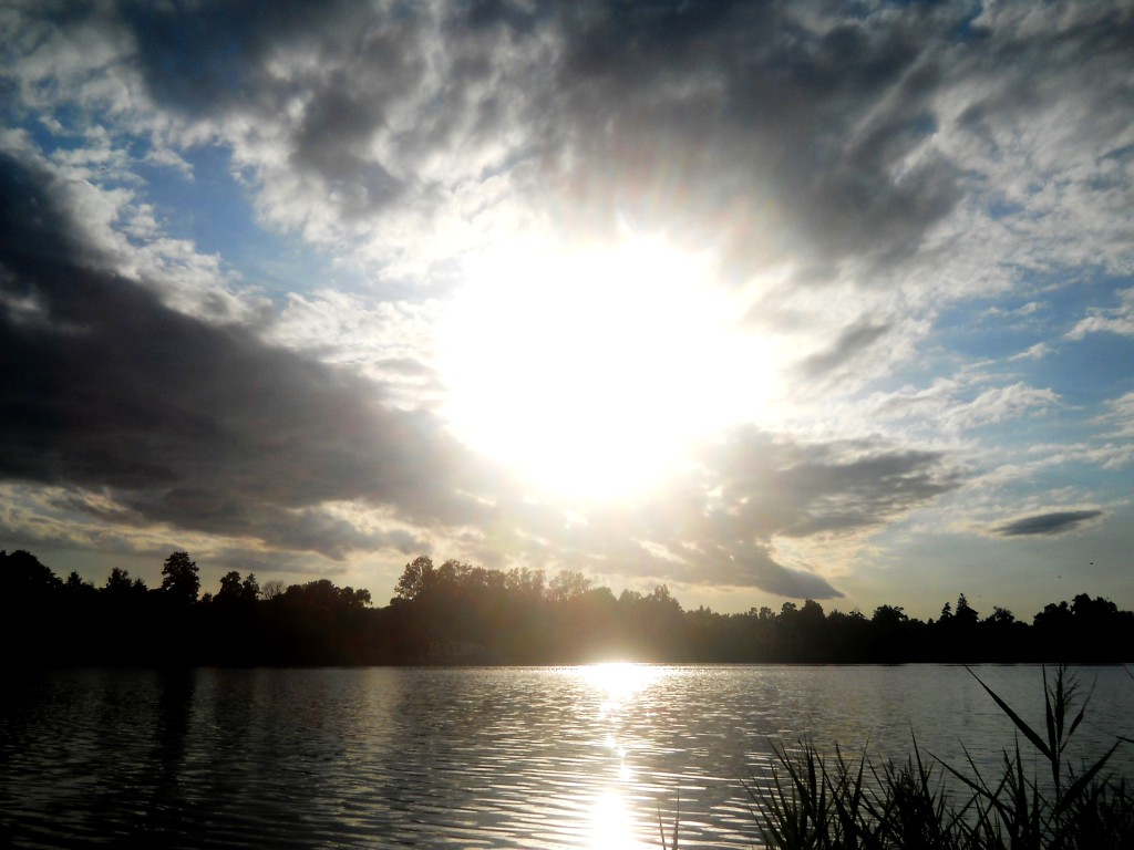 DSCN8306