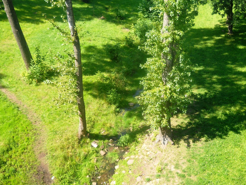 DSCN8384