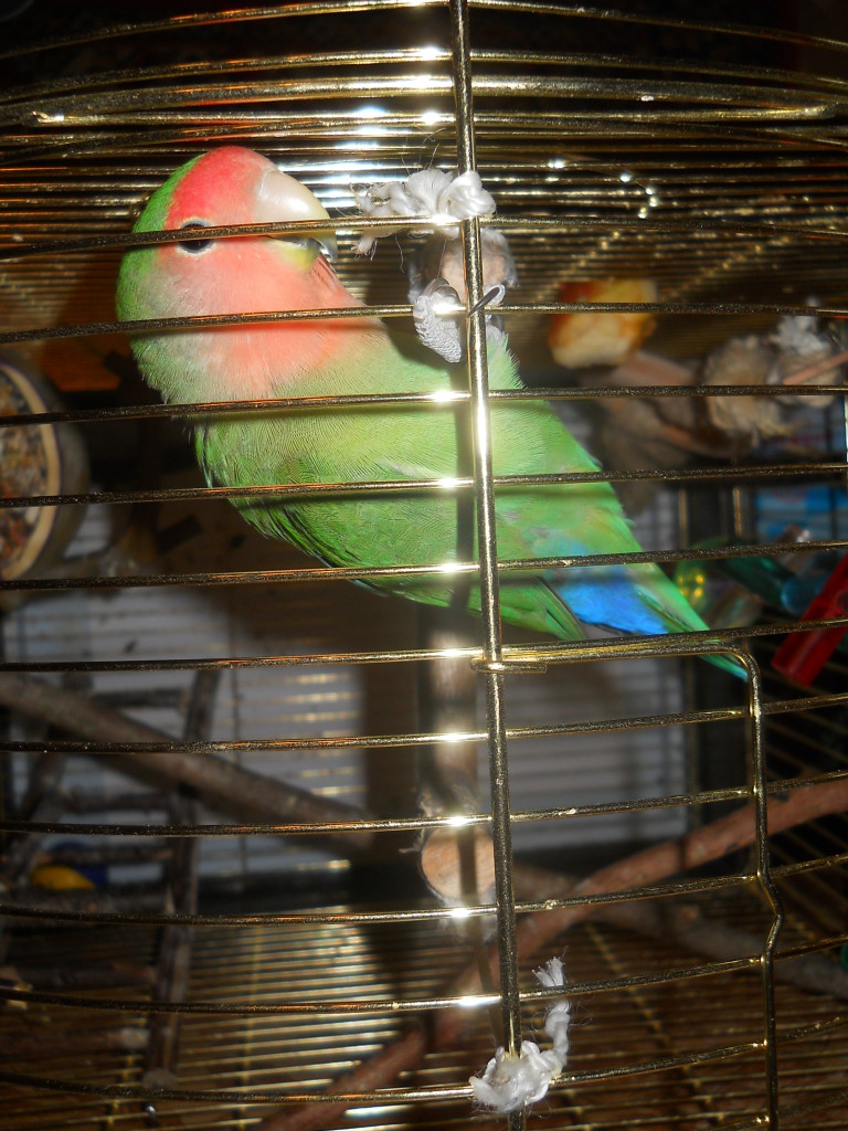 DSCN9308