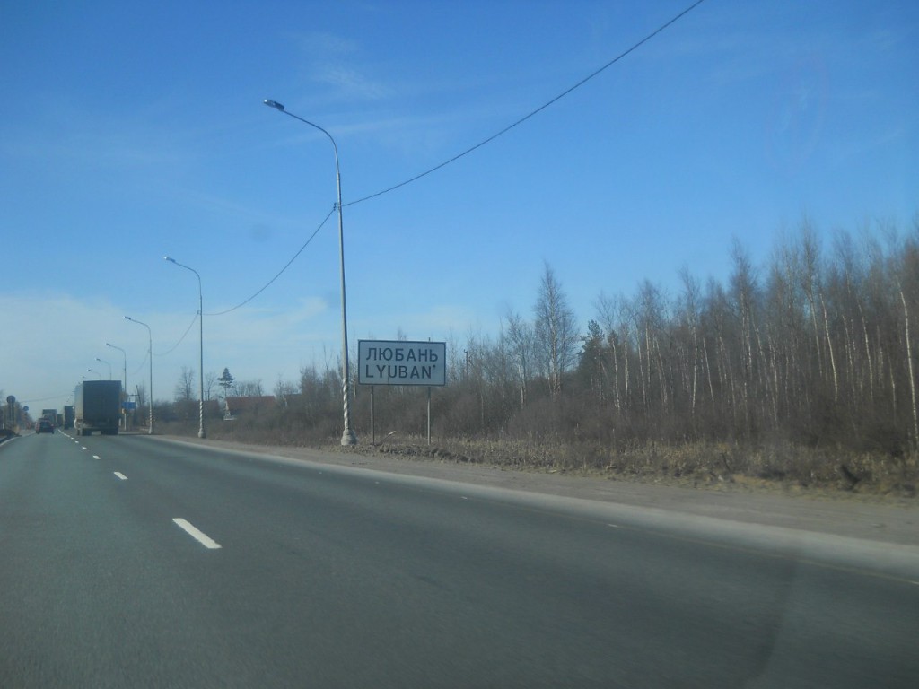 z_15bc5355