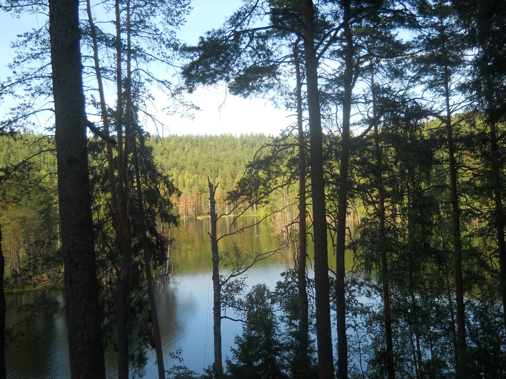 DSCN8476
