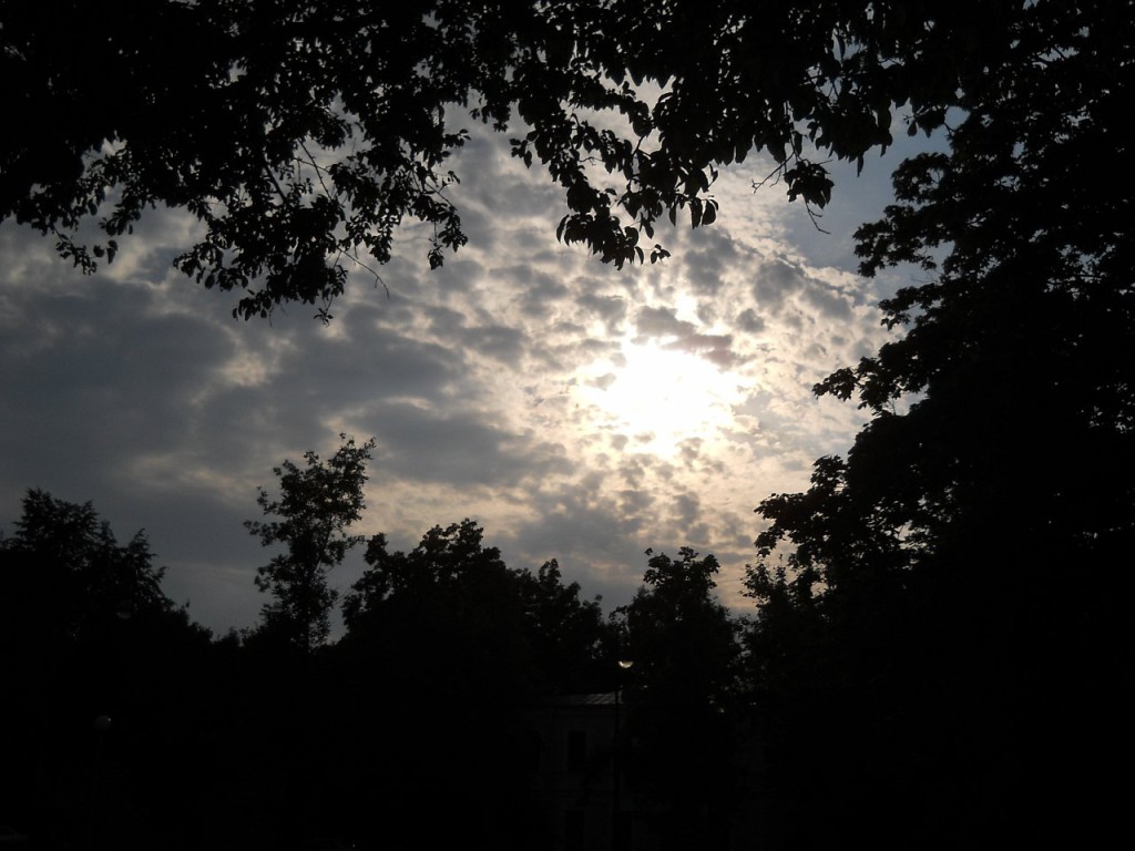 z_8d22c080