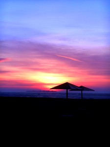 DSCN0356