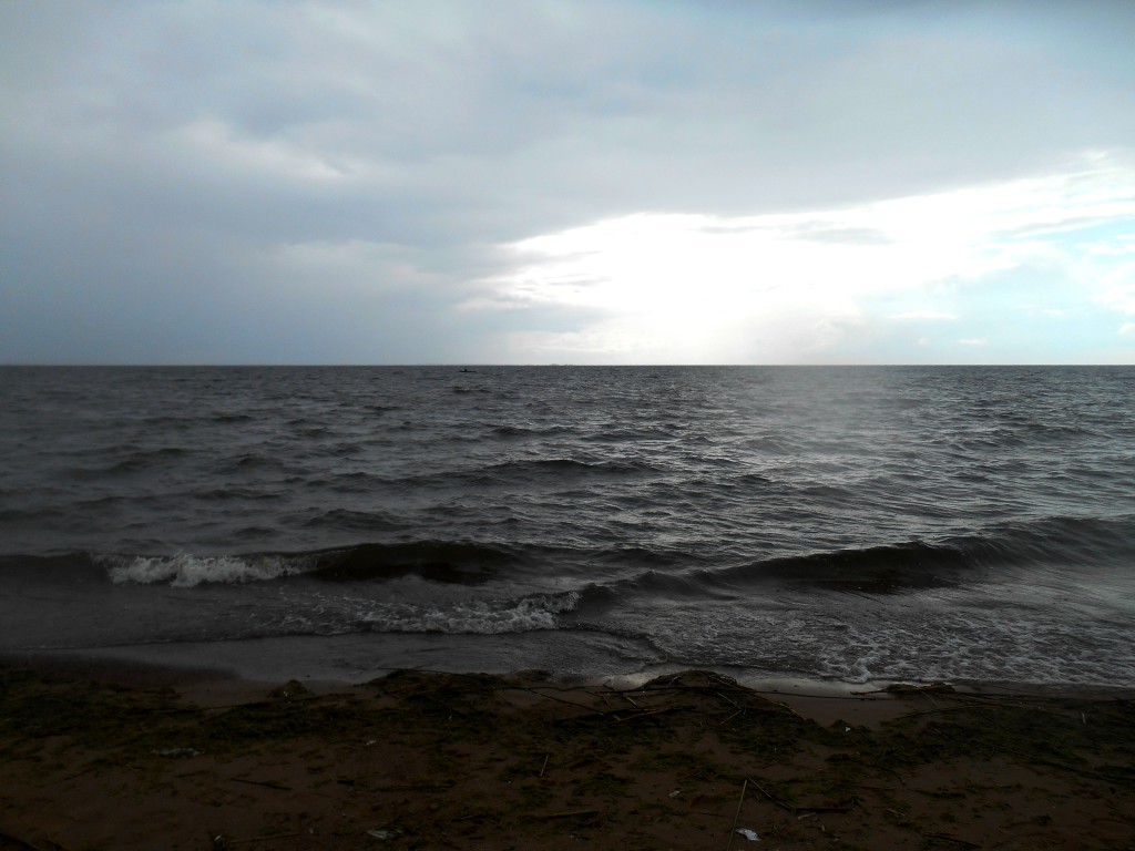 DSCN6546